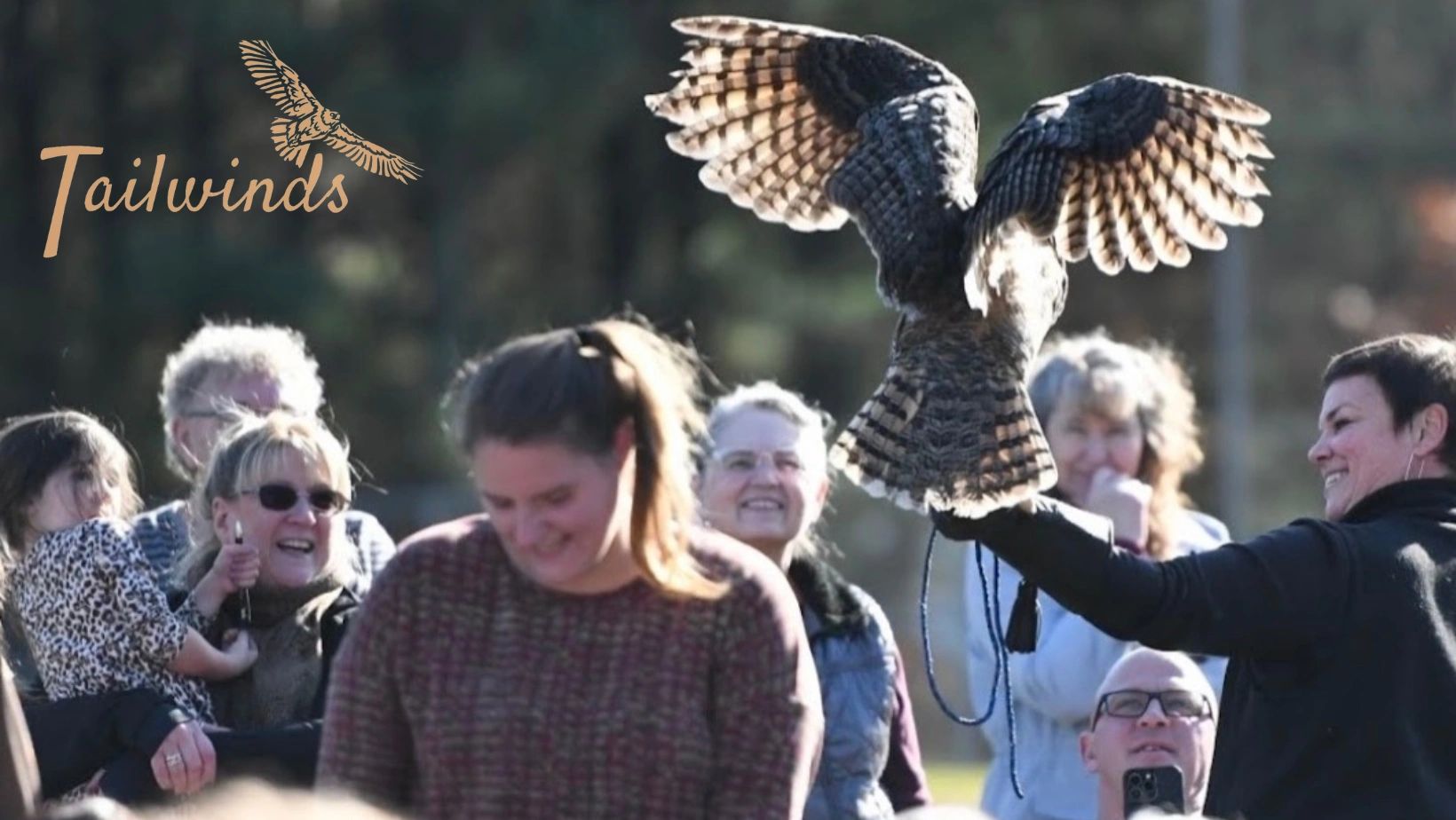 footlocker tailwinds